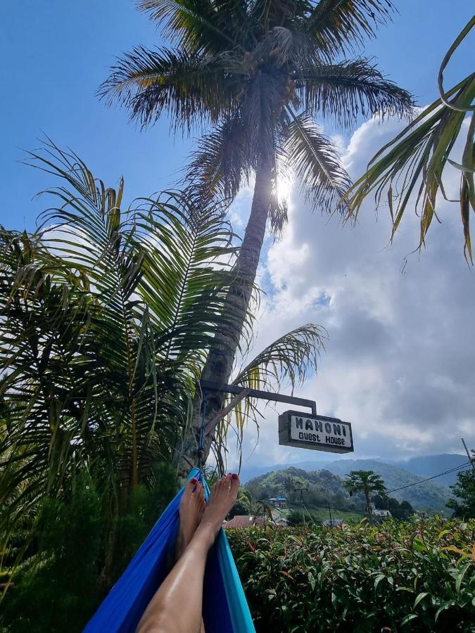 Mahoni Guest House Kelimutu Bagian luar foto